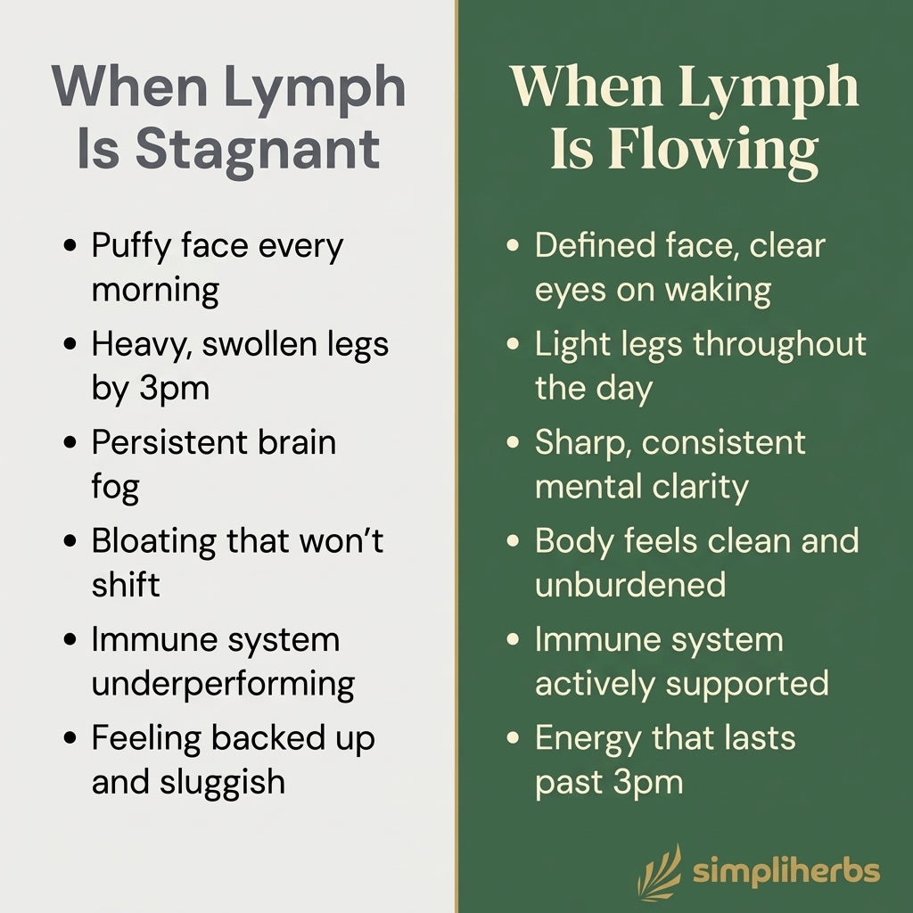 Lymphatic Oral Drainage Tonic