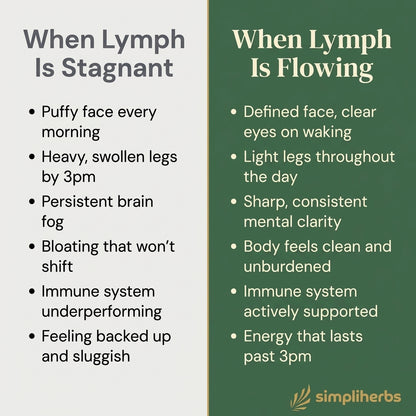 Lymphatic Oral Drainage Tonic
