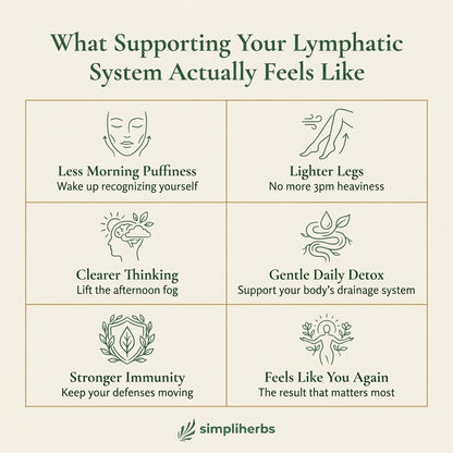 Lymphatic Drainage Tonic